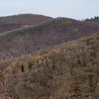 Výhľady zo Sokolích skál v Krahulčích vrchoch.