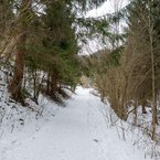 Lesný chodník k Brankovskému vodopádu.