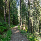 Na lesnom chodníčku Žiarskou dolinou.