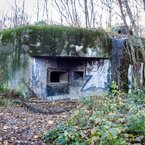 Bunker B-S-1 Štěrkoviště v lužnom lese