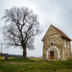 Kostol sv. Margity Antiochijskej a strom