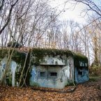 Bunker B-S-1 Štěrkoviště pohltený lužným lesom a machom