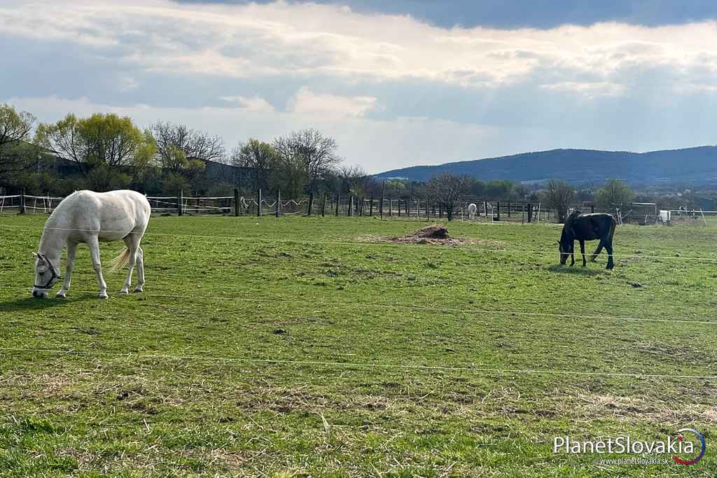 Rozálka - rekreačný areál na severnom okraji Pezinka pri žltej cyklotrase.