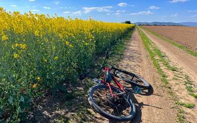 Tip na cyklotúru: Podunajskou nížinou medzi Bratislavou a Trnavou