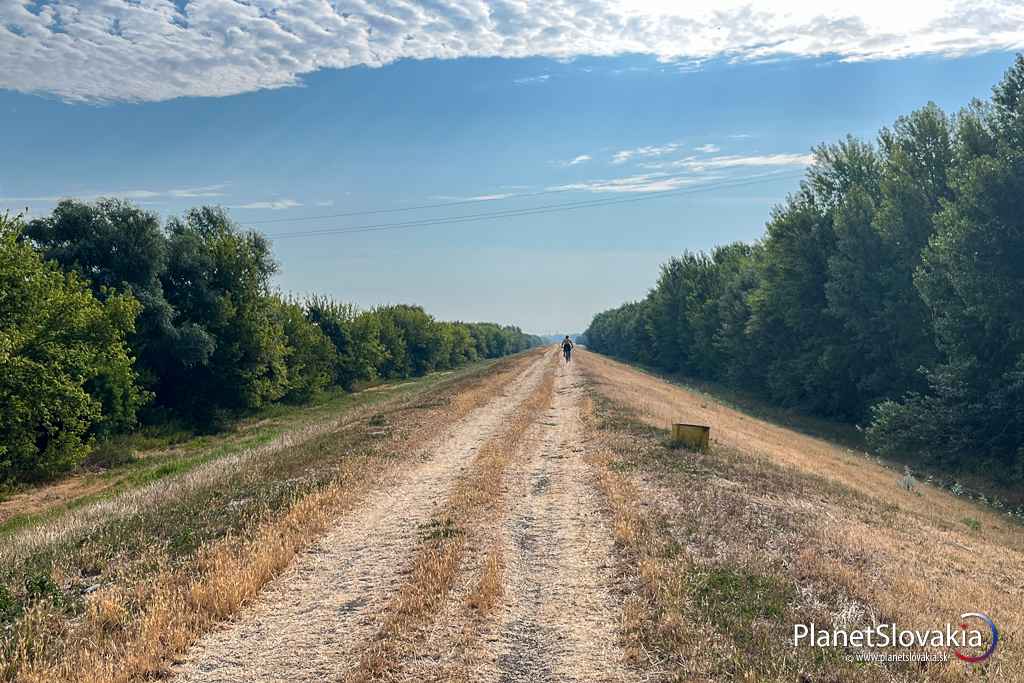 Vyprahnutá cyklotrasa s názvom Mariánska cesta smerom z Komoče do Nových Zámkov má cca. 6 km a dala nám zabrať.