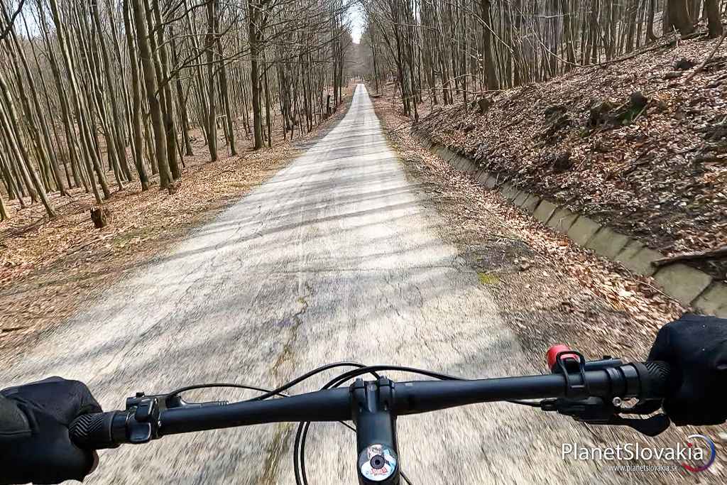 Jeden zo zjazdov na trase Green Bike Tour v Malých Karpatoch neďaleko rázcestia Horvátka.