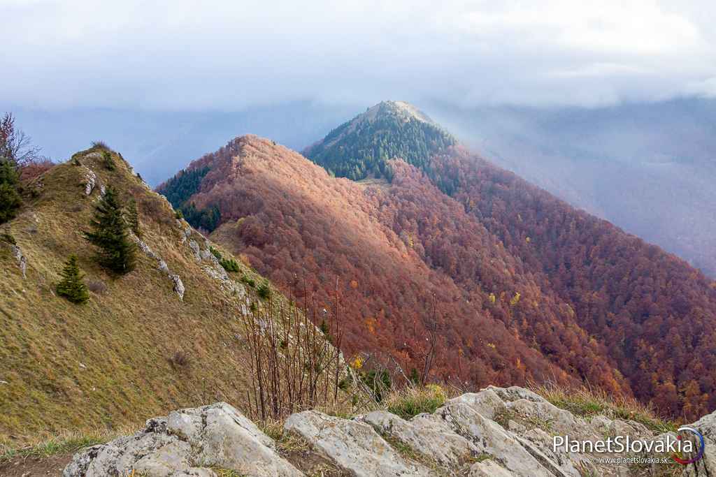 Výhľad z Baraniarok na trasu modrej značky cez Žitné a Kraviarske.