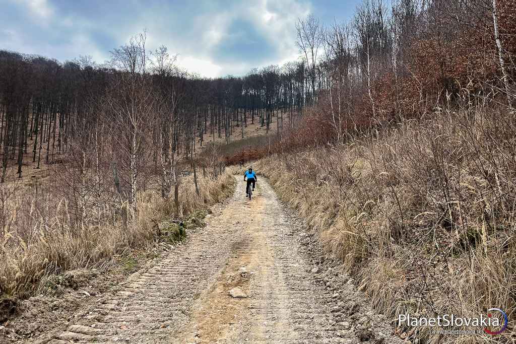 Po zelenej cyklotrase sa blížime k hrebeňu Tribeča medzi Mišovým a Javorovým vrchom.