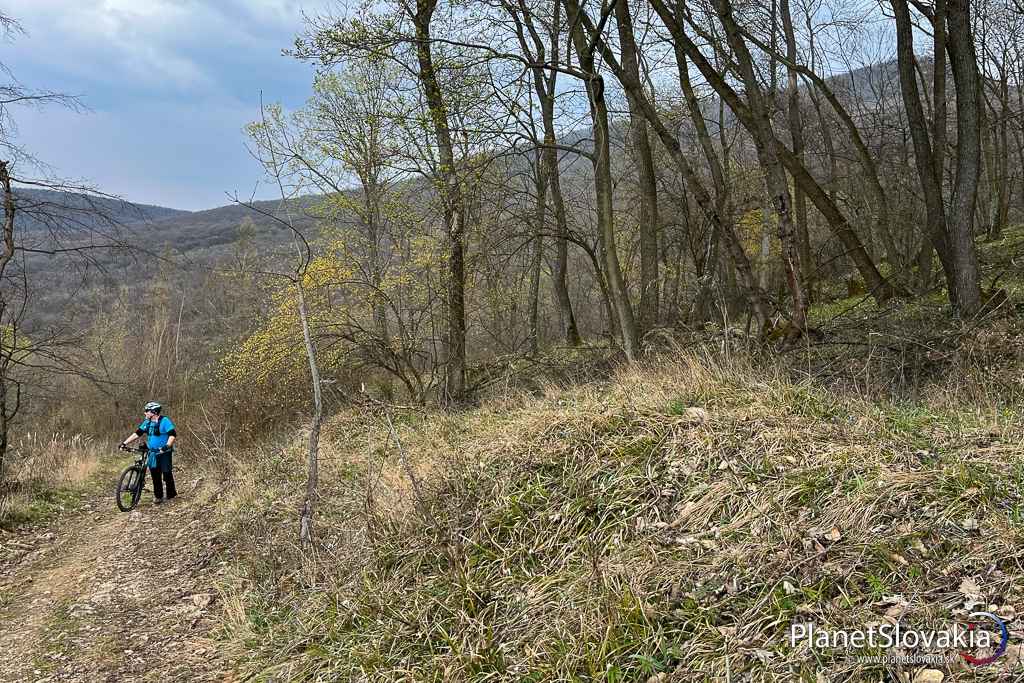 Strmé stúpanie za Žibricou smerom do sedla pod Žibricou. Napravo vzadu - Žibrica 617 m n. m.