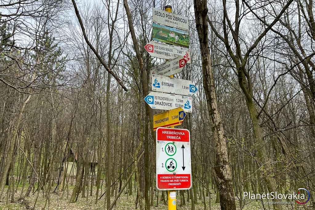 Konečne sedlo pod Žibricou. Smerujeme k Zoboru.