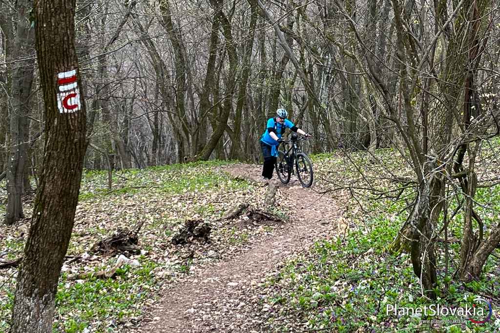 Úseky Tribečskej cyklohrebeňovky smerom na Zobor sú síce pekné, no je tu nutné bajk občas potlačiť.