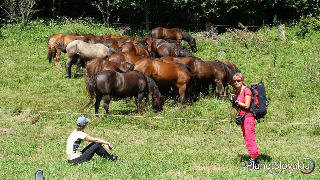 Muránska planina, Veľká lúka.