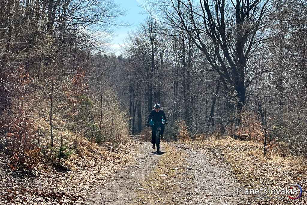 Na vrstevnici, ktorou modrá cyklotrasa obchádza vrchol Tatra.