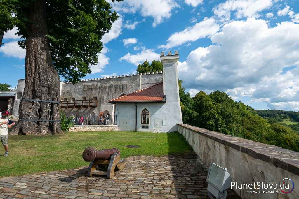 Lipa Mateja Korvína patrí k najstarším chráneným stromom Slovenska i strednej Európy.