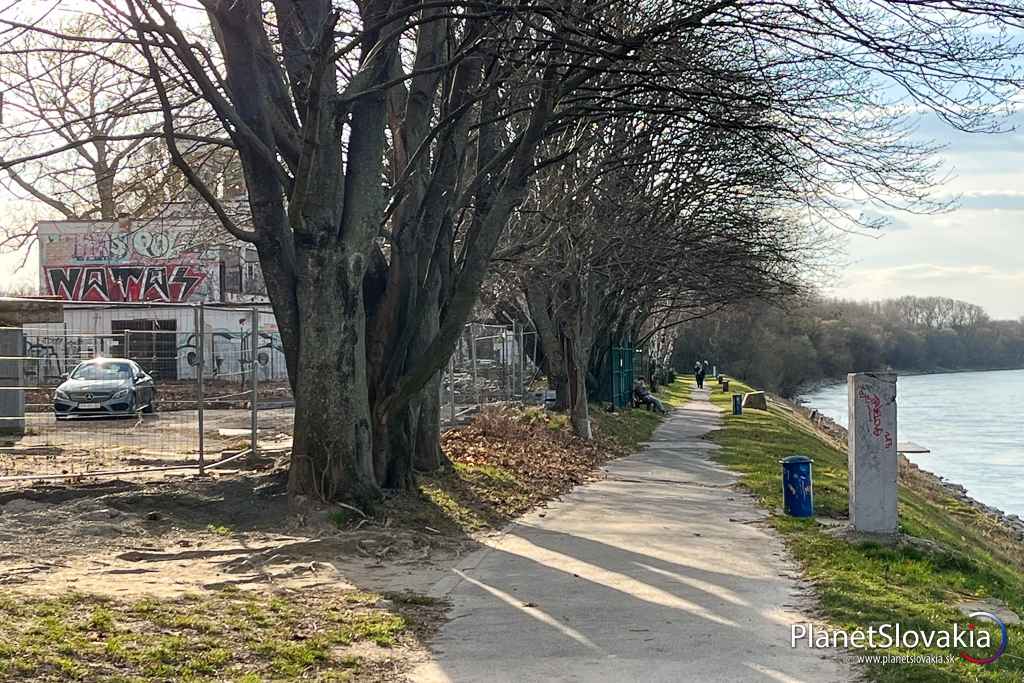 Cesta po petržalskom nábreží od Mosta SNP k budove Nemeckého veslárskeho klubu.