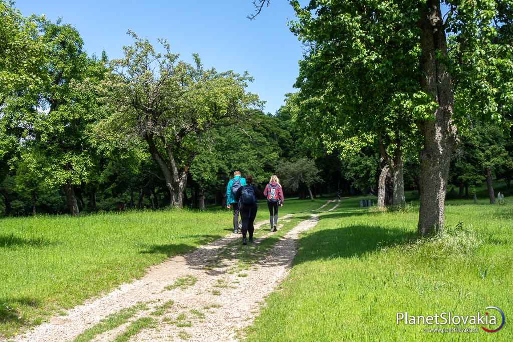 Turisti smerujúci k objektu Rotundy svätého Juraja.