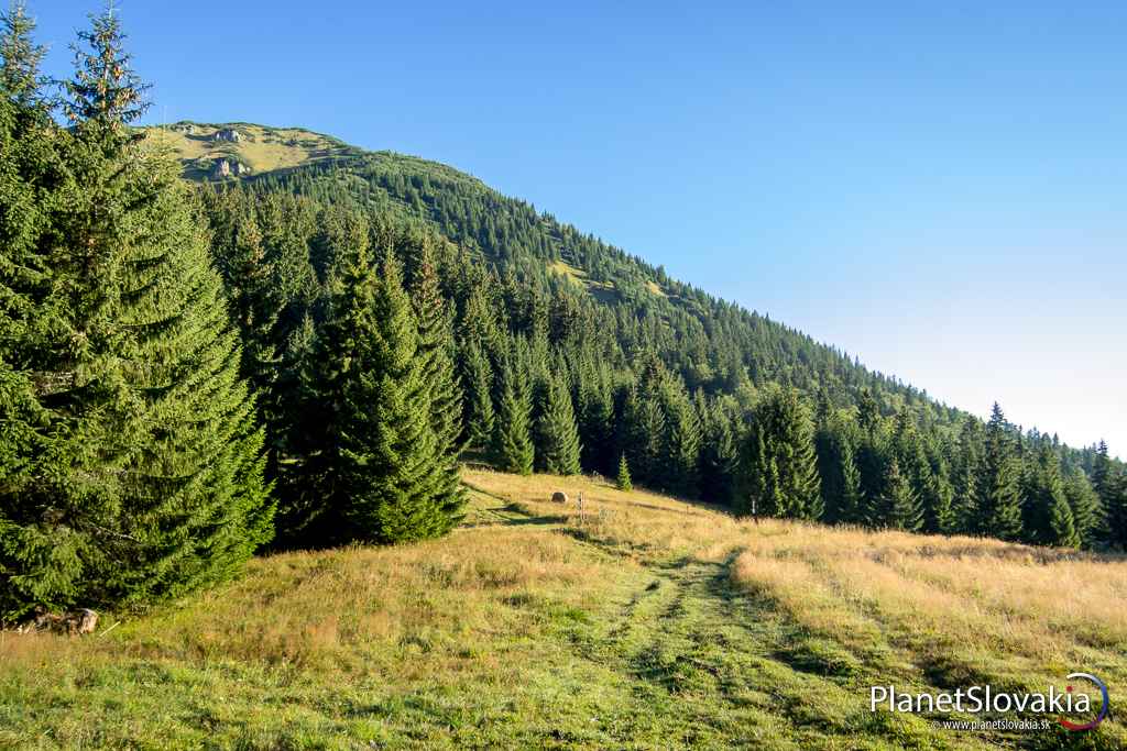 Naša hora. Z Ráztockého sedla sa konečne naskytá pohľad na opustenú nízkotatranskú horu Saltín.