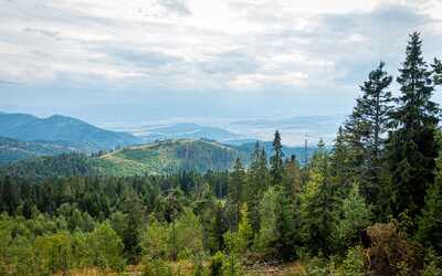 Smrekovica – najvyšší vrch pohoria Branisko