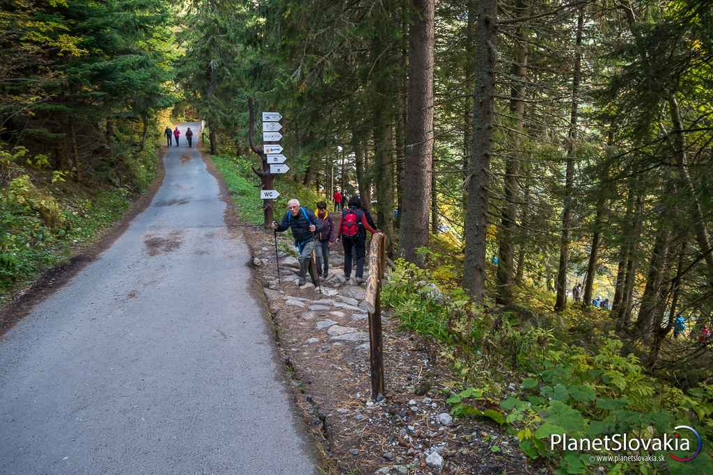 Touto asfaltkou sa sem dostanete z vlakovej zastávky Popradské pleso. Vpravo je odbočka k Popradskému plesu a Majláthovej Chate.