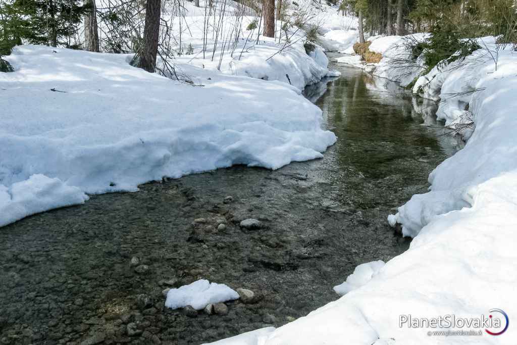 Na Štrbskom Plese sa dá príjemne poprechádzať.