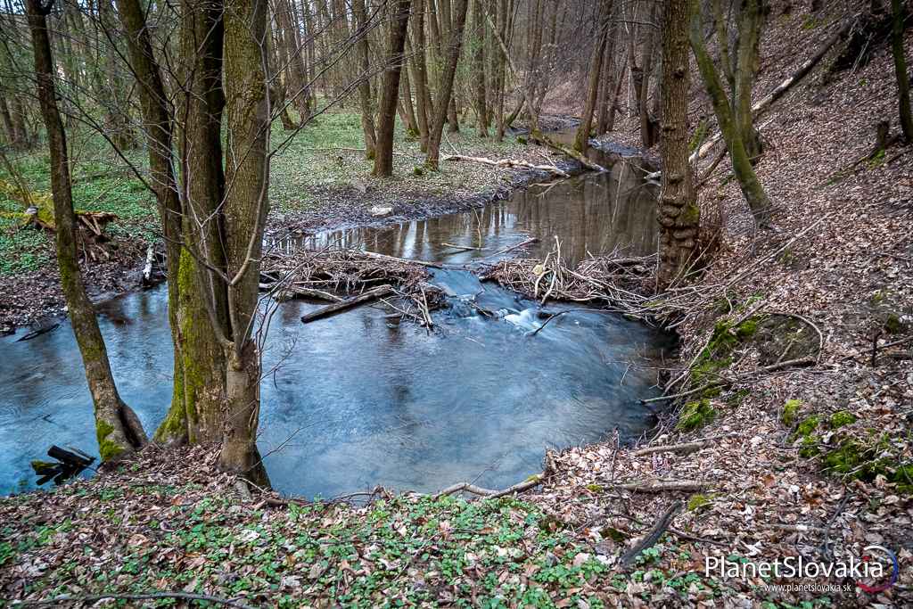 Na Suchom potoku v mieste kde sa vlieva do vodnej nádrže si bobri vybudovali menšie hrádze.