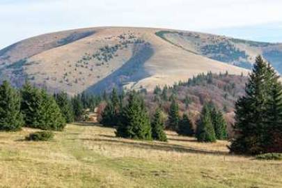 Ploská – unikátny vrch vo Veľkej Fatre