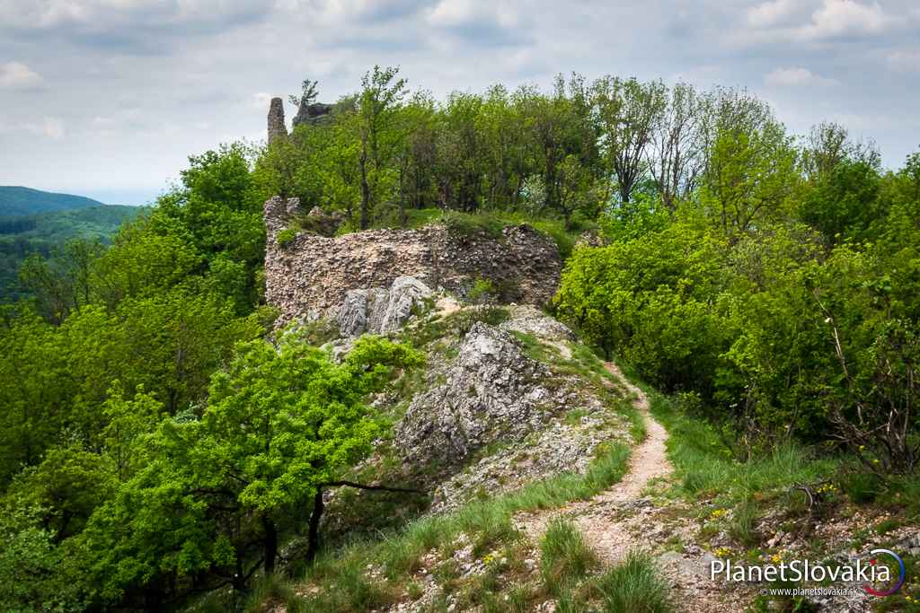 Hrebeňom Zárub k ruine hradu Ostrý Kameň. Hrad Ostrý Kameň je do hrebeňa najvyššieho vrchu Malých Karpát zasunutý ako skalný diamant.
