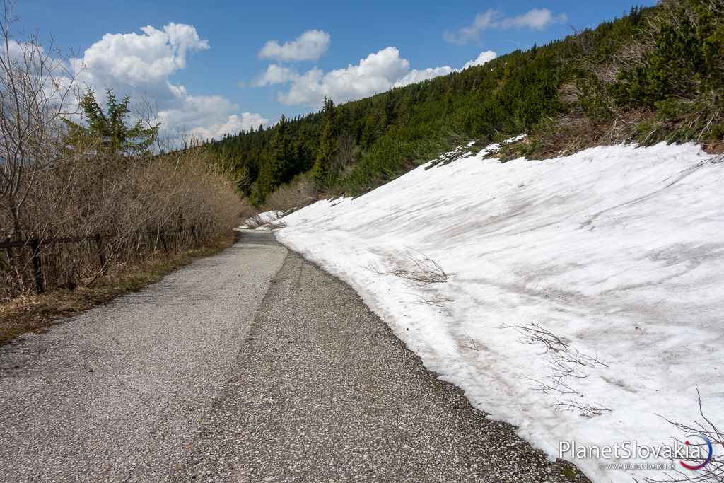 Vzhľad asfaltky a podmienky na cyklotrase nad Predným sedlom. Pás snehu cyklocestu poriadne zúžil. Kvalita cesty je tu dobrá, na rozdiel od tankodrómu o kúsok nižšie.