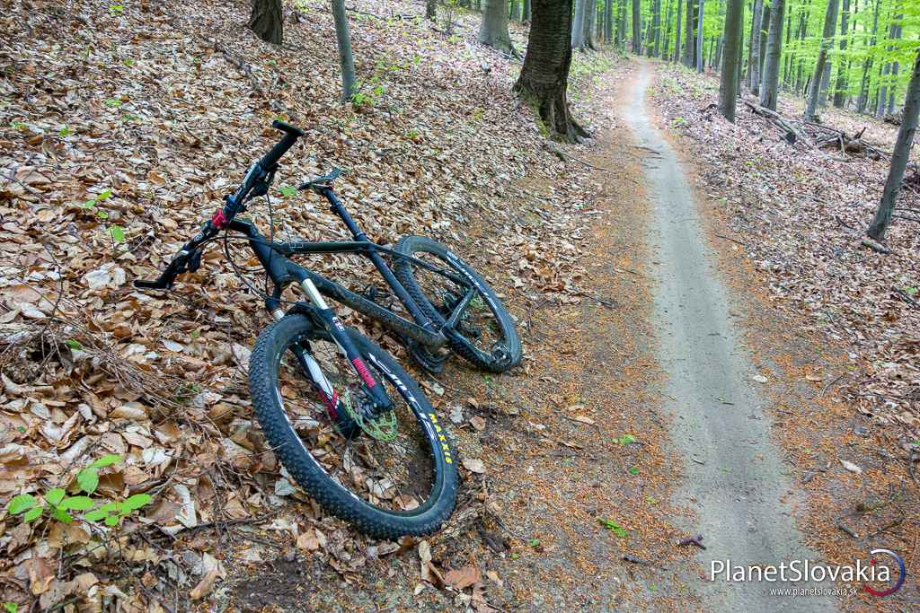 Na traili Cerová dráha.