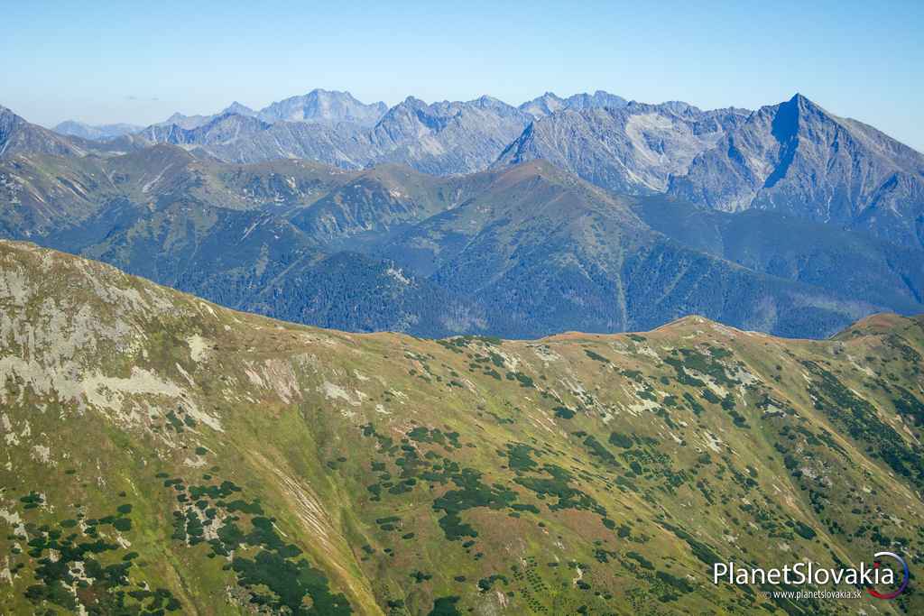 Výhľady z Bystrej, najvyššieho kopca Západných Tatier, na susediaci hrebeň Grešova a vzdialené Vysoké Tatry. Azda najpôsobivejší je práve pohľad smerom ku Kriváňu.