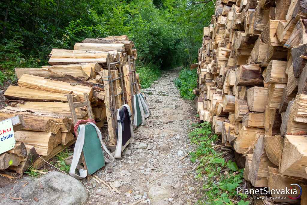 Drevo pre Štefáničku na Trangoške. Pripravené na vynášku vrátane nosičských krošní.