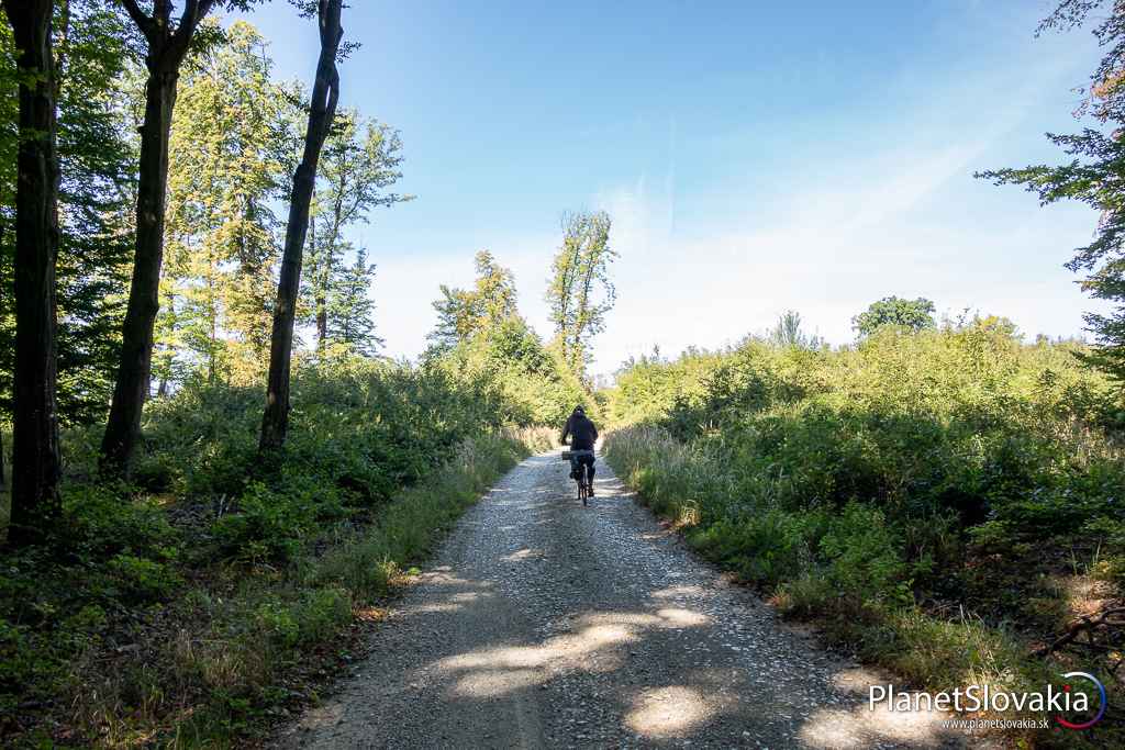 Stúpanie nad rázcestím Hrabníky. Mnohé cesty na Štefánikovej cyklomagistrále vedú po veľkorozmernej šotoline, ktorá na jazdu nie je najpríjemnejšia.