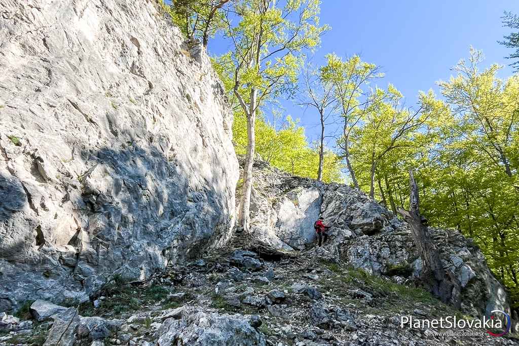 Výstup skalami Manínskej stráže k vrcholovému krížu.