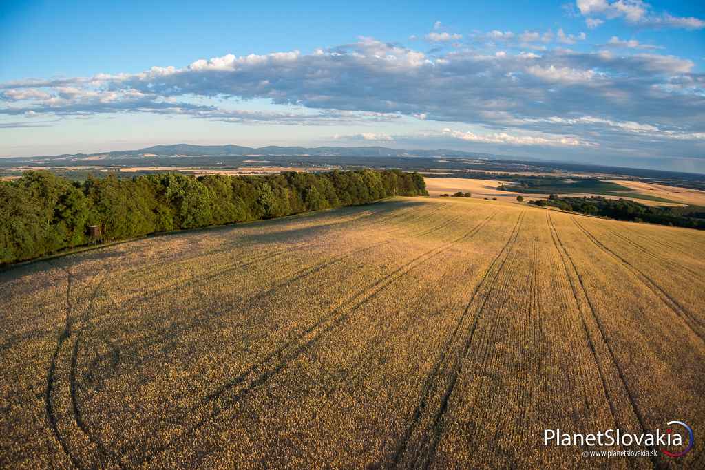 Výhľad na šíre lány. Na severe výhľad okliešťuje zalesnený vrchol Zámčisko.