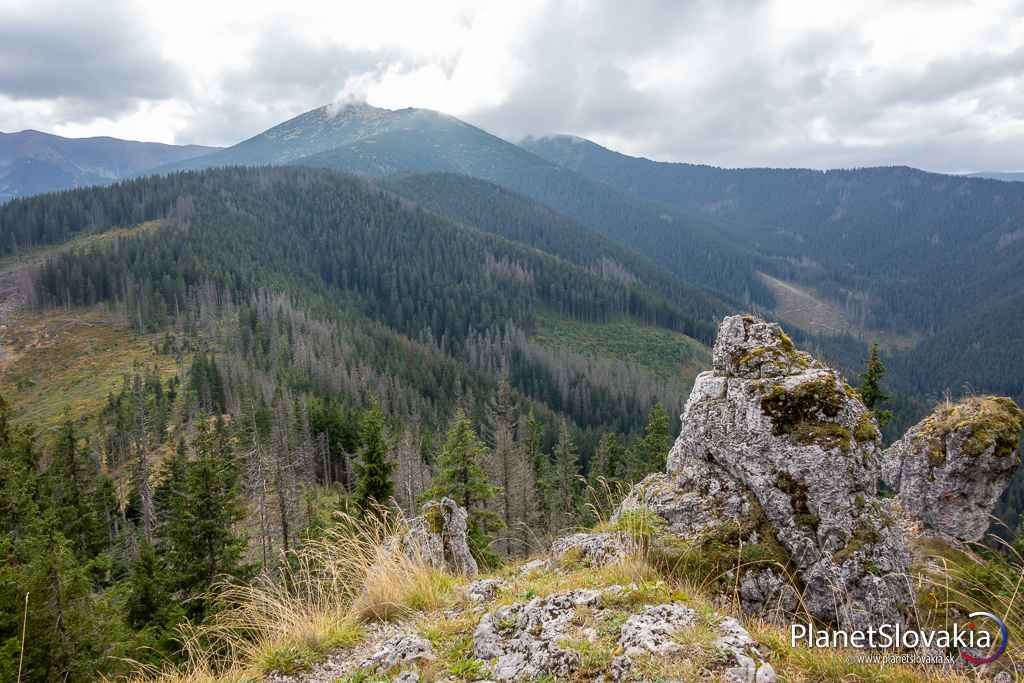 Pohľady zo strání Sinej na prekonaný les medzi Sedlom Bôru a Sedlom Sinej. Nižšie položené lesy sú značne poničené.