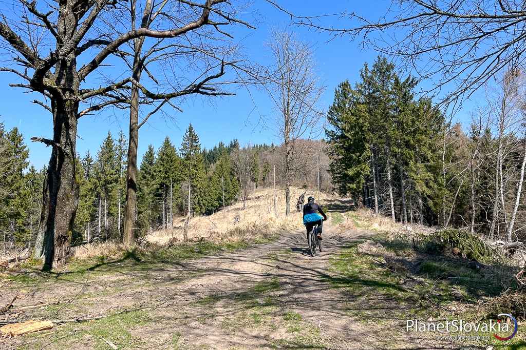 Hlavným hrebeňom Vtáčnika smerom k útulni na Plešine.