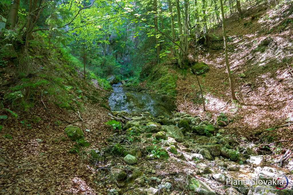 Zostup dolinou Obšívanka. Záver Zbojníckeho chodníka smerom do Terchovej.