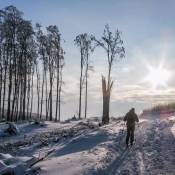 Zimný prechod hrebeňa Malých Karpát na bežkách