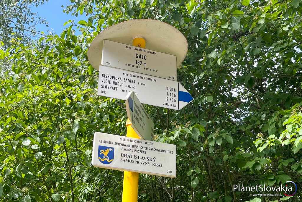 Rázcestie Gajc - k arcibiskupskému kameňu pôjdete čiastočne po modrej značke.