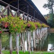 Most v Kolárove - najdlhší riečny drevený most v Európe
