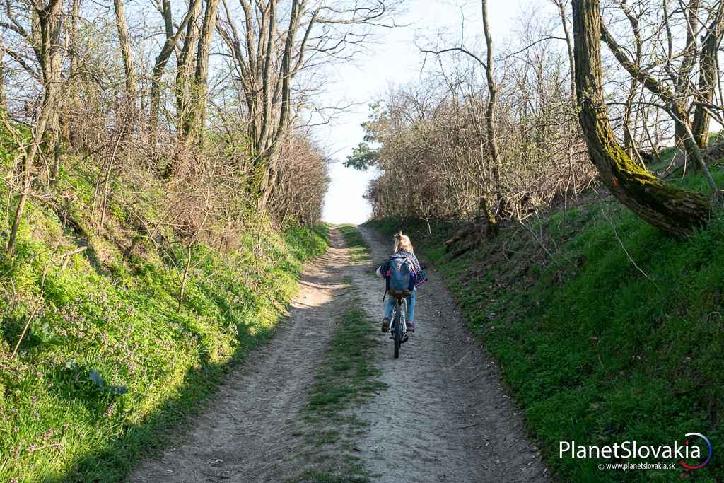 Vyššie v rokline Glanec nad Šenkvicami.